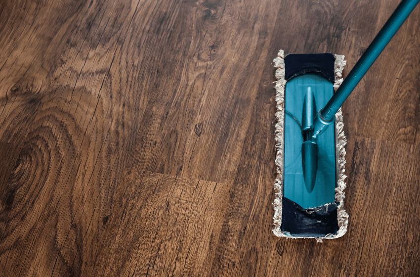 Isolamento Social: aumento de pragas urbanas.