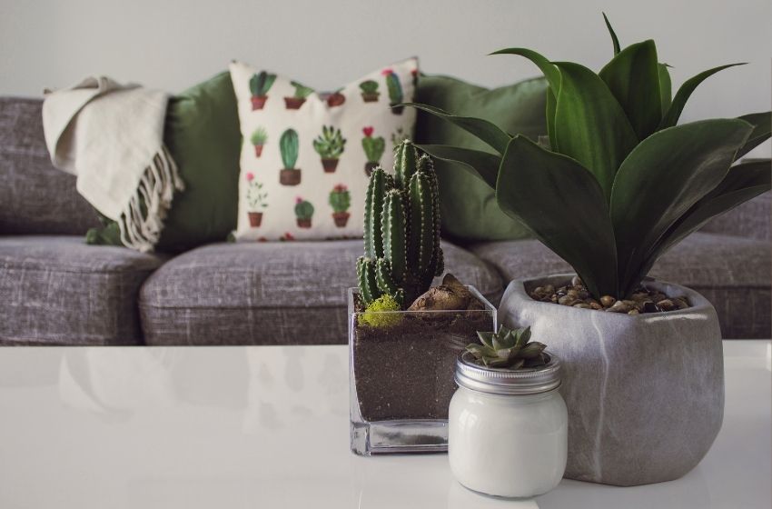 Como promover em casa a qualidade de vida?