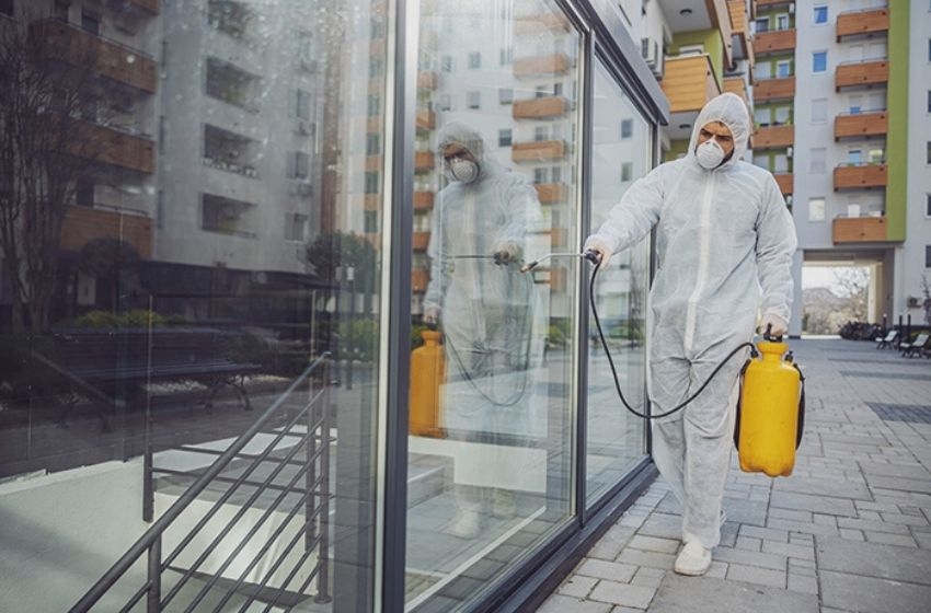 Dedetização em condomínios deve ser realizada, no mínimo, a cada 6 meses