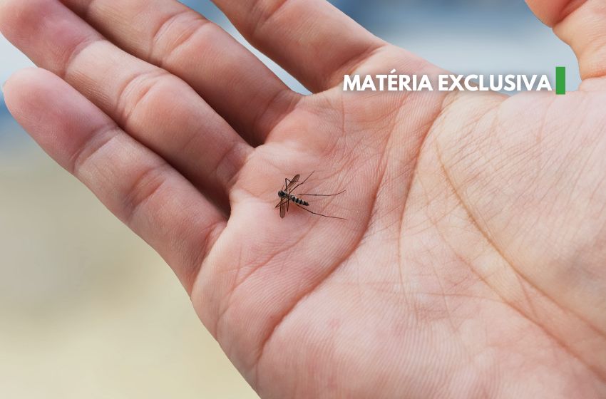 Dengue no condomínio: como evitar?