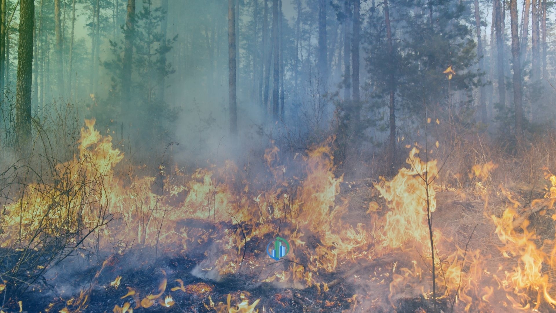 Megaincêndio assusta Valinhos: Defesa Civil alerta para risco de novos focos na região