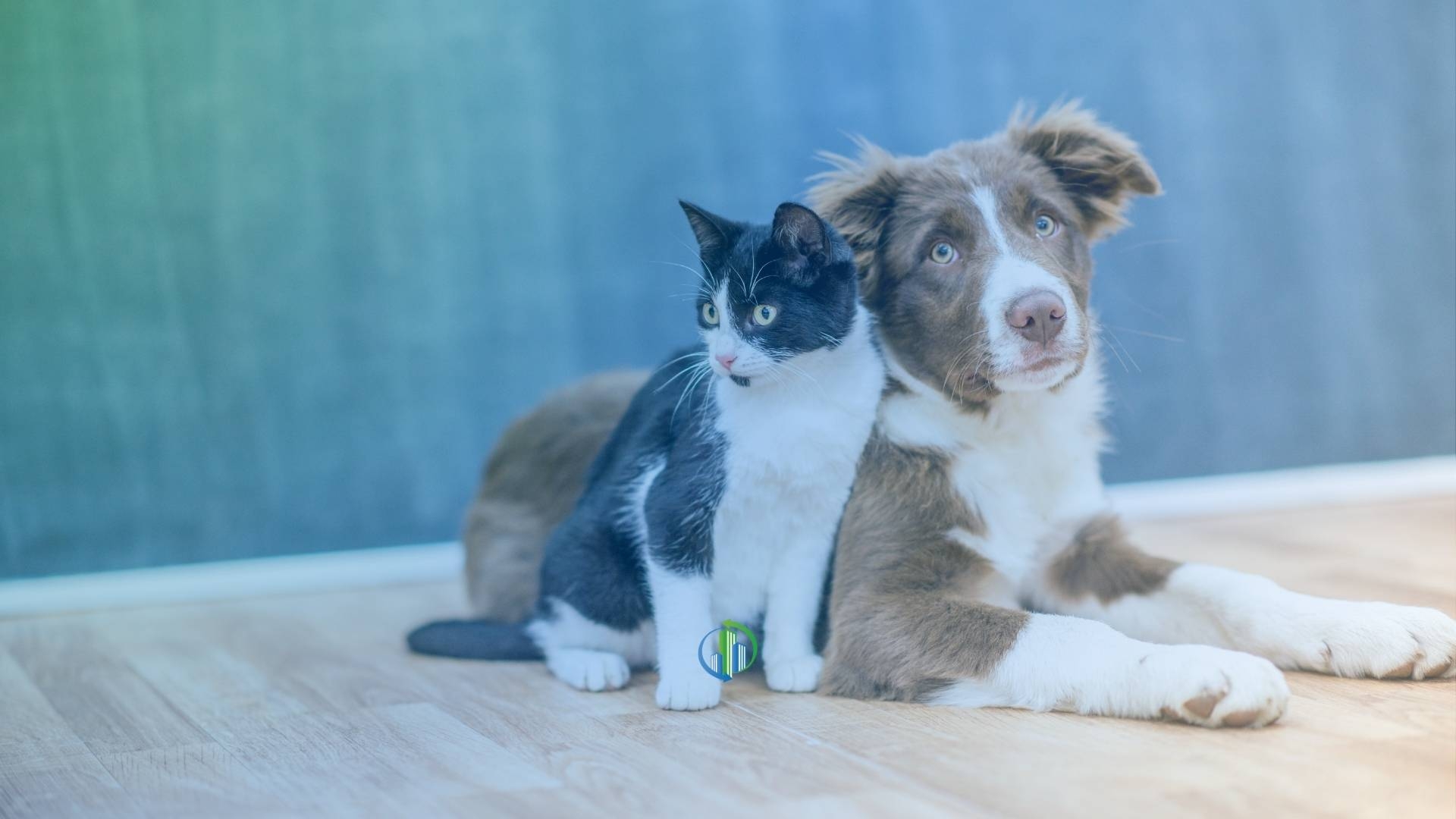 Animais em condomínios: o impacto da reforma do Código Civil