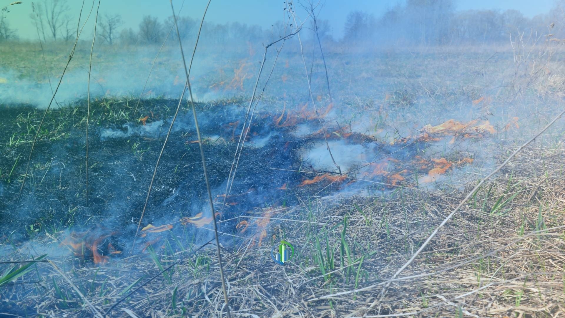 Incêndio atinge área preservada próxima a condomínio e reforça alerta sobre cuidados preventivos
